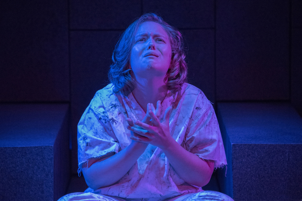 Photo Flash: Firehouse Theatre Presents SONGS FROM BEDLAM Image